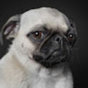 Meet your Posher, Paula